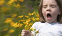 Jak zbadać wiosenne alergie?